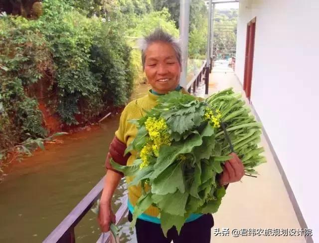 重庆小众避暑农家乐推荐,重庆南山高级农家乐排行榜前十名