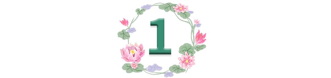 赏荷花情景教学,江南荷花开西湖赏荷寻味攻略