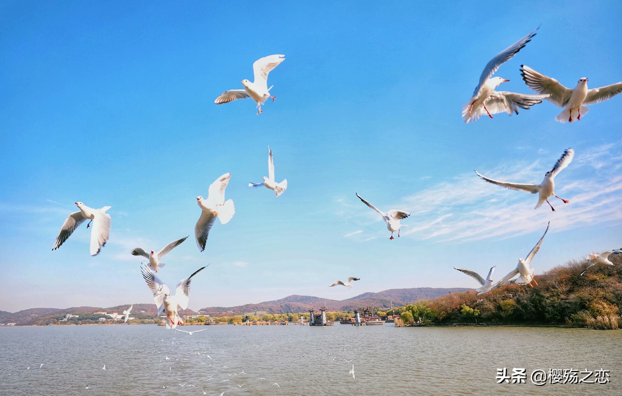 无锡横店影视城,无锡影视城与横店影视城对比