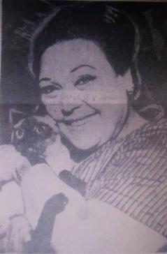 埃及十大肚皮舞,现代埃及风肚皮舞