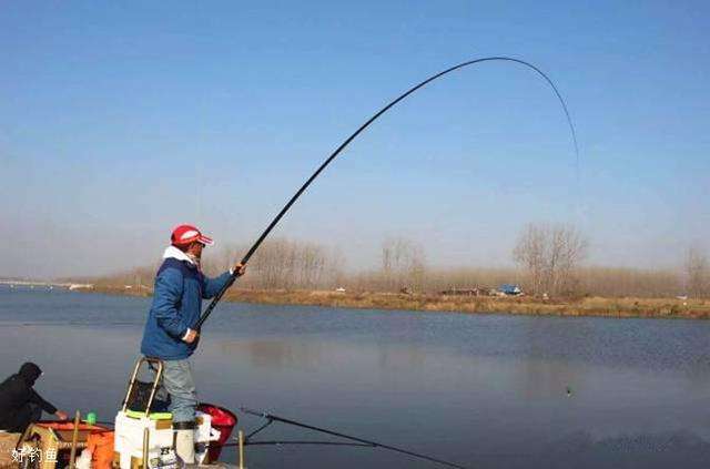 *战野**劲鲤，请你牢牢记住这三点，老钓手都默默收藏了