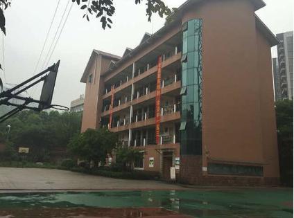 重庆南岸小学排名2016,重庆南岸小学学校排名