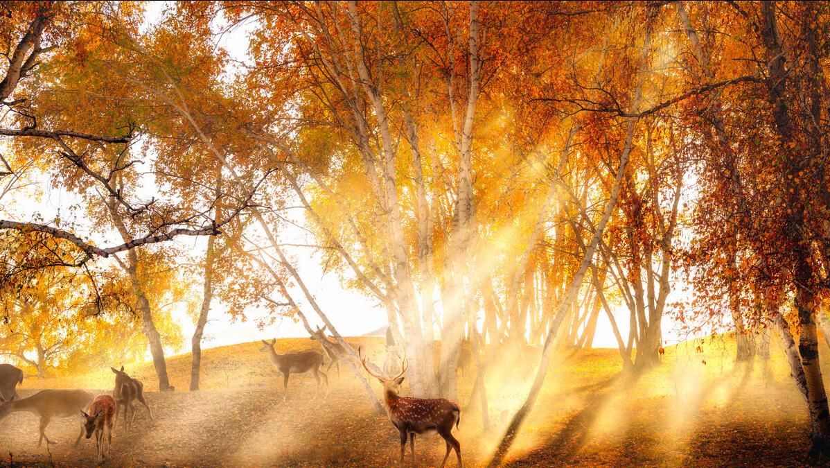 心理素质差的解决方法,心理素质差怎么调节啊