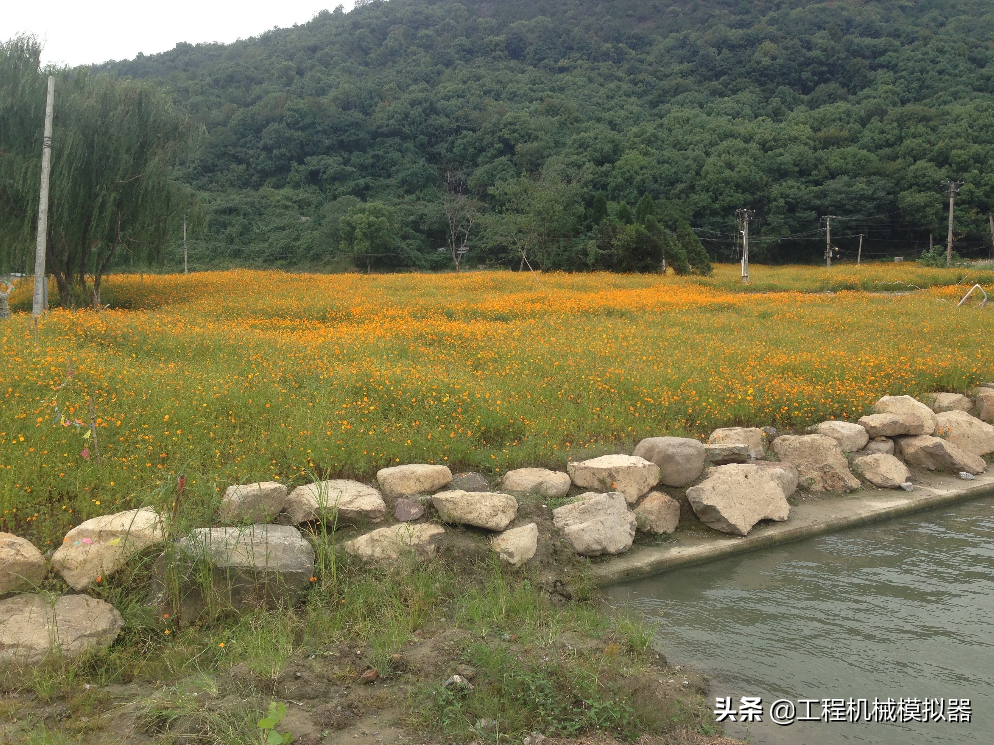 一位护士小姐靠近他，俯下身，嘴巴一张一合的