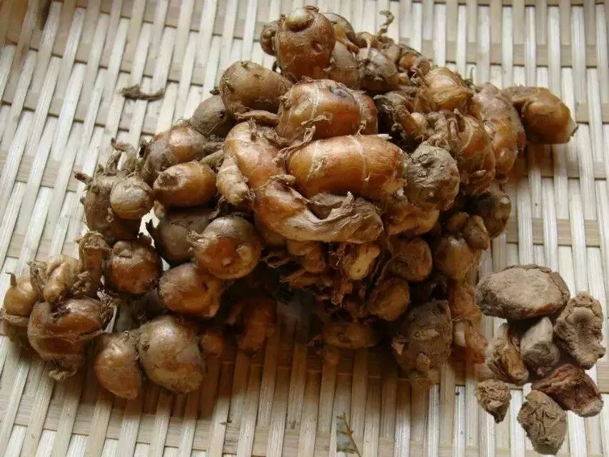 各种香料的属性与搭配,各种香料调料的配方共十八种