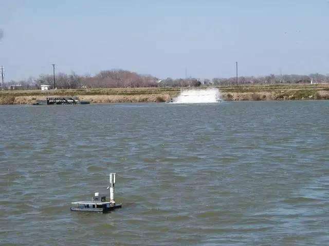 虾塘水发黑快速处理方法,虾塘水黑红色是什么原因