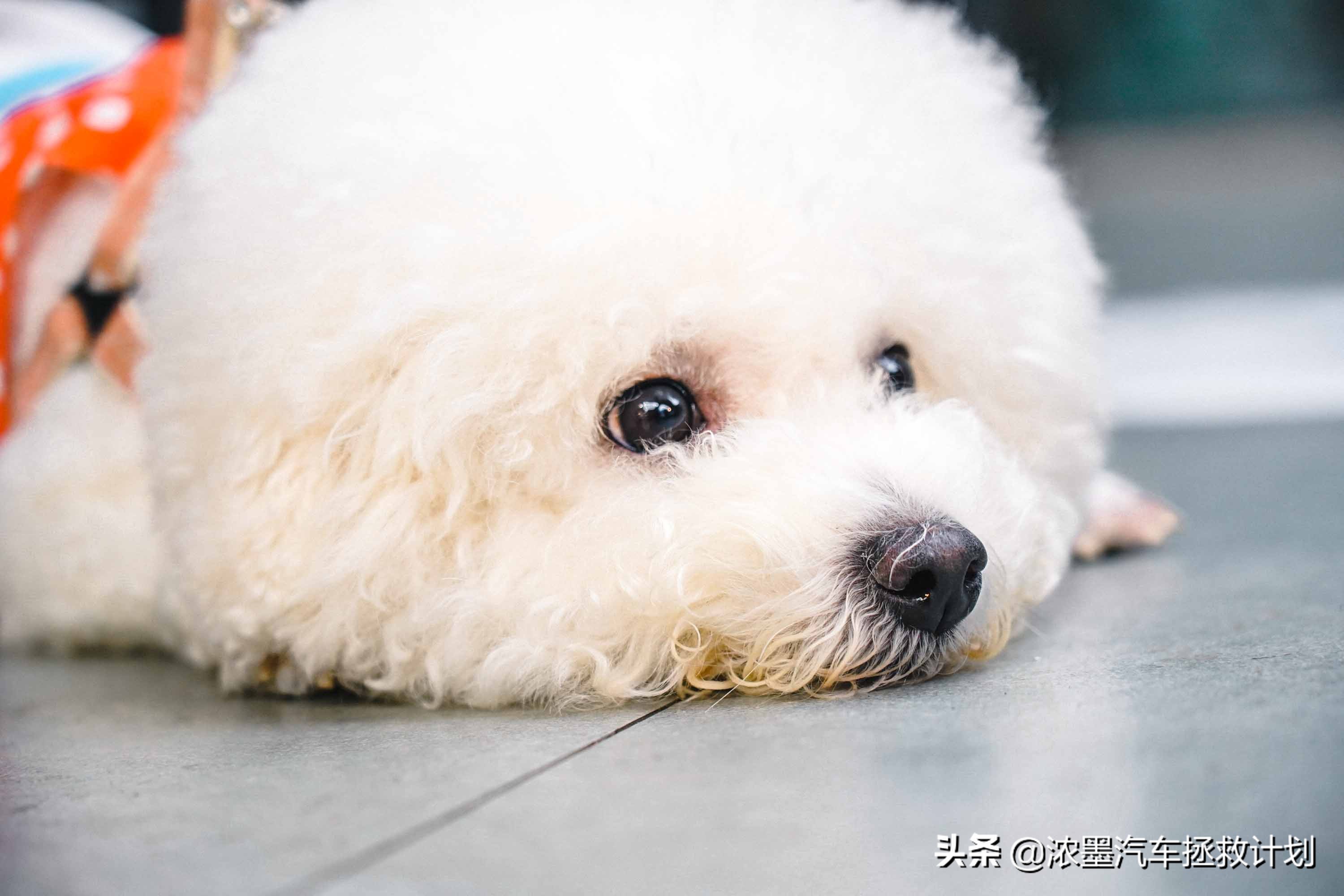 翻新整备修复丰田第一代普瑞维亚,一代情怀丰田普瑞维亚