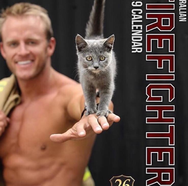 谁说*男猛**和萌猫必须二选一？这次我全都要