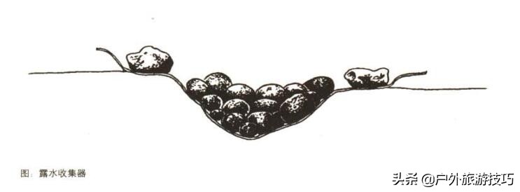 野外找水源最好的办法,野外四种找水方法