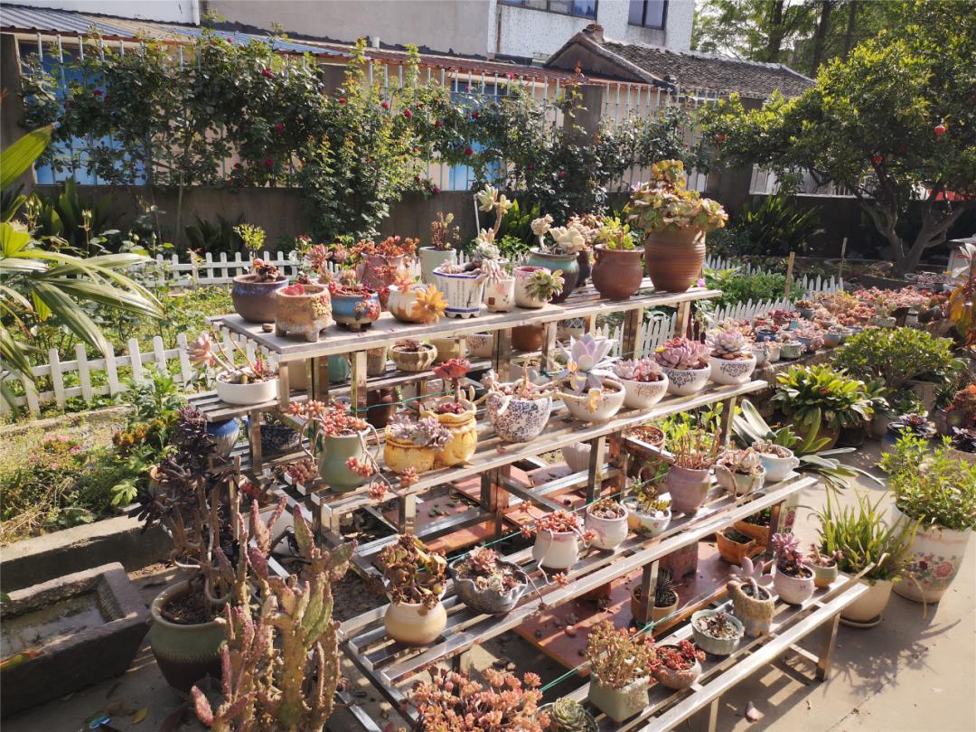 江阴人少景美,江阴有哪些人文景观