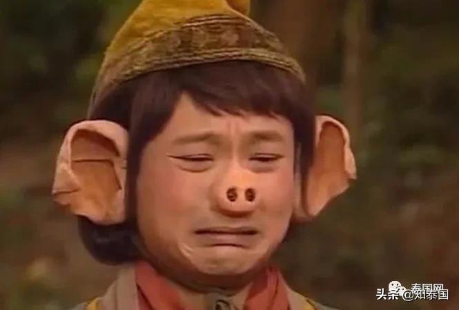 允许中国人入境吗,泰国允许中国游客入境了吗