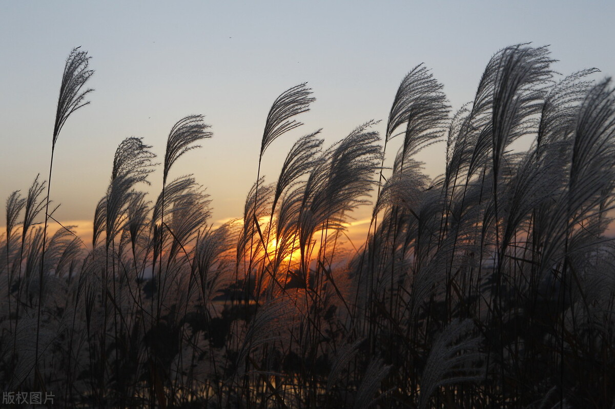 仕途之路的感悟,人在仕途感悟