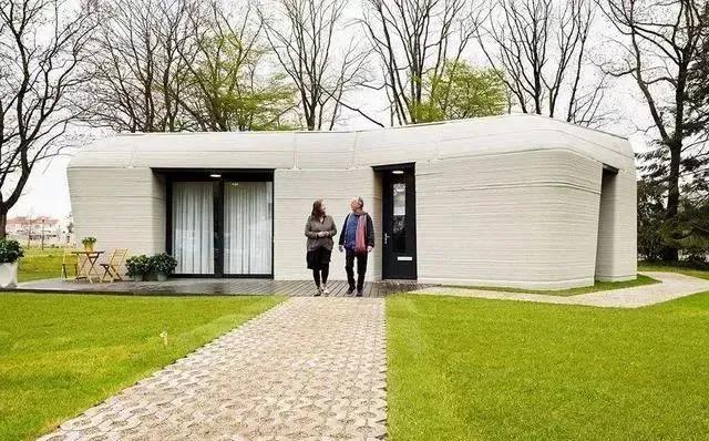 20年最高！房源一出就抢！荷兰式“住房危机”