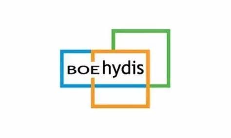 从捡垃圾到世界冠军完整,京东方发展史全过程