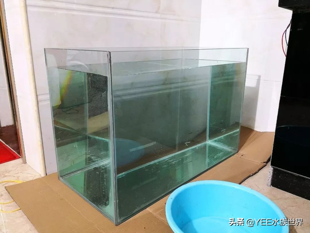 鱼缸粘缸剂有哪些,玻璃鱼缸粘结用什么胶粘最好