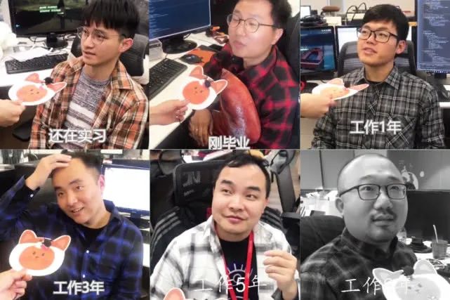 女生真的就不适合学it吗,女生真的不适合学美发吗