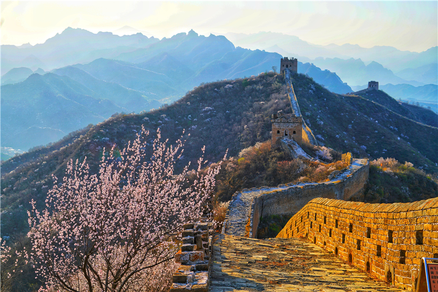 了不起的长城最新视频,了不起的长城是哪一期