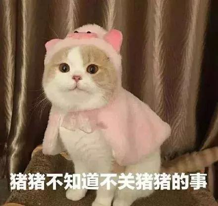 泫雅为什么要丰唇,泫雅太红了怎么办