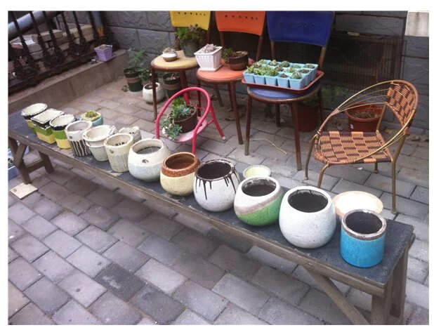 鑺辨埧濮戝澶氳倝閰嶅湡,鑺辨埧濮戝鐜夐湶澶氳倝