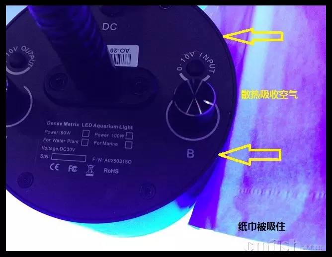 KELO钜彩照明LED水族灯试用活动鱼友评测详情,一