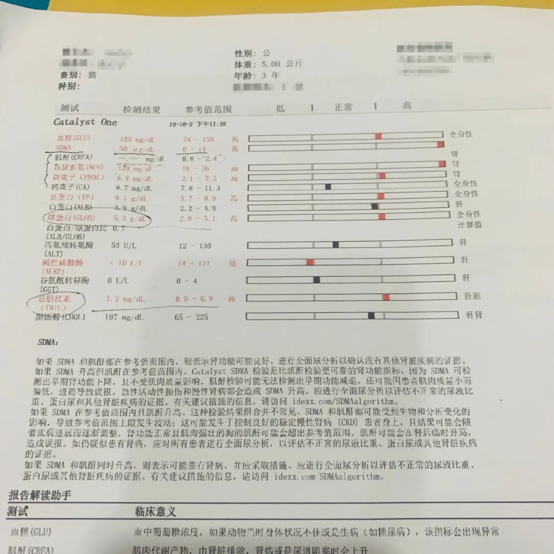 小佩饮水机3代漏电吗,小佩宠物饮水机真的有用吗