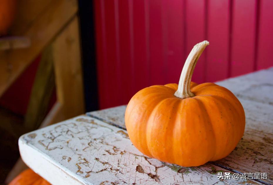 宝宝不爱吃饭吃什么可以调理脾胃,宝宝脾胃虚不爱吃饭吃啥药