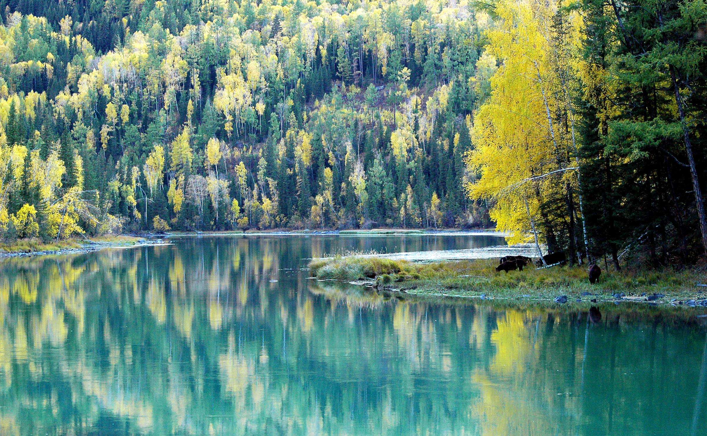 27个常用易混成语,100个易混淆成语你了解多少