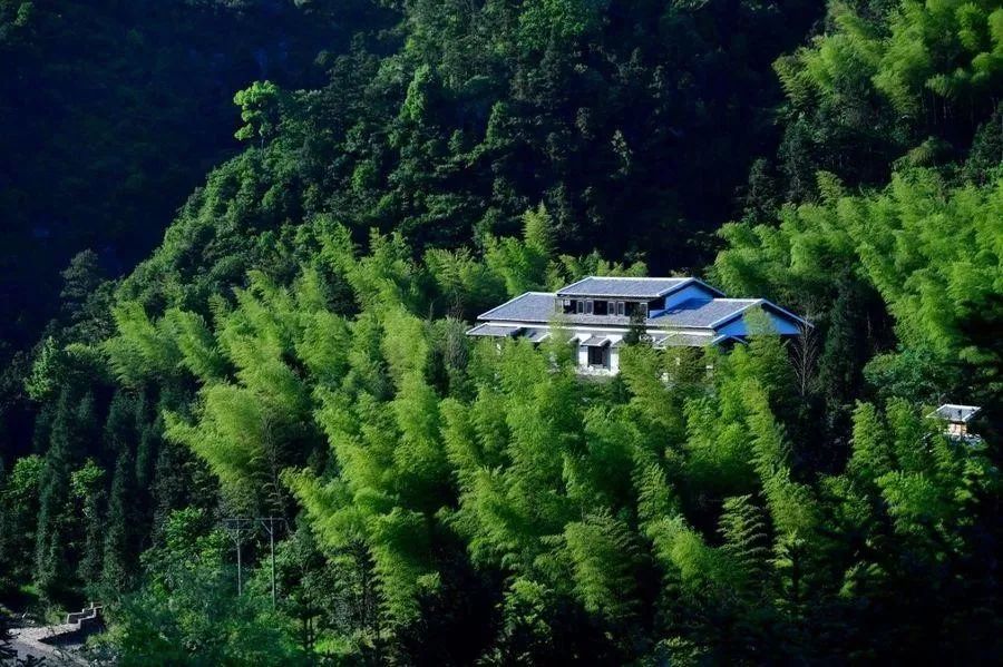 楠溪江民宿客栈排名前十,楠溪民宿十大排名