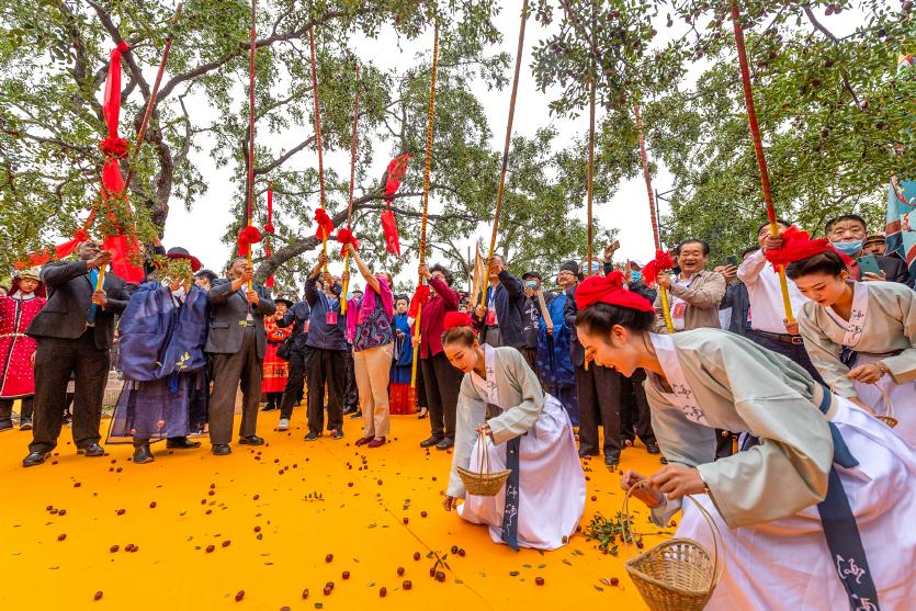 2022年稷山板枣节活动安排,2022山西省中国农民丰收节