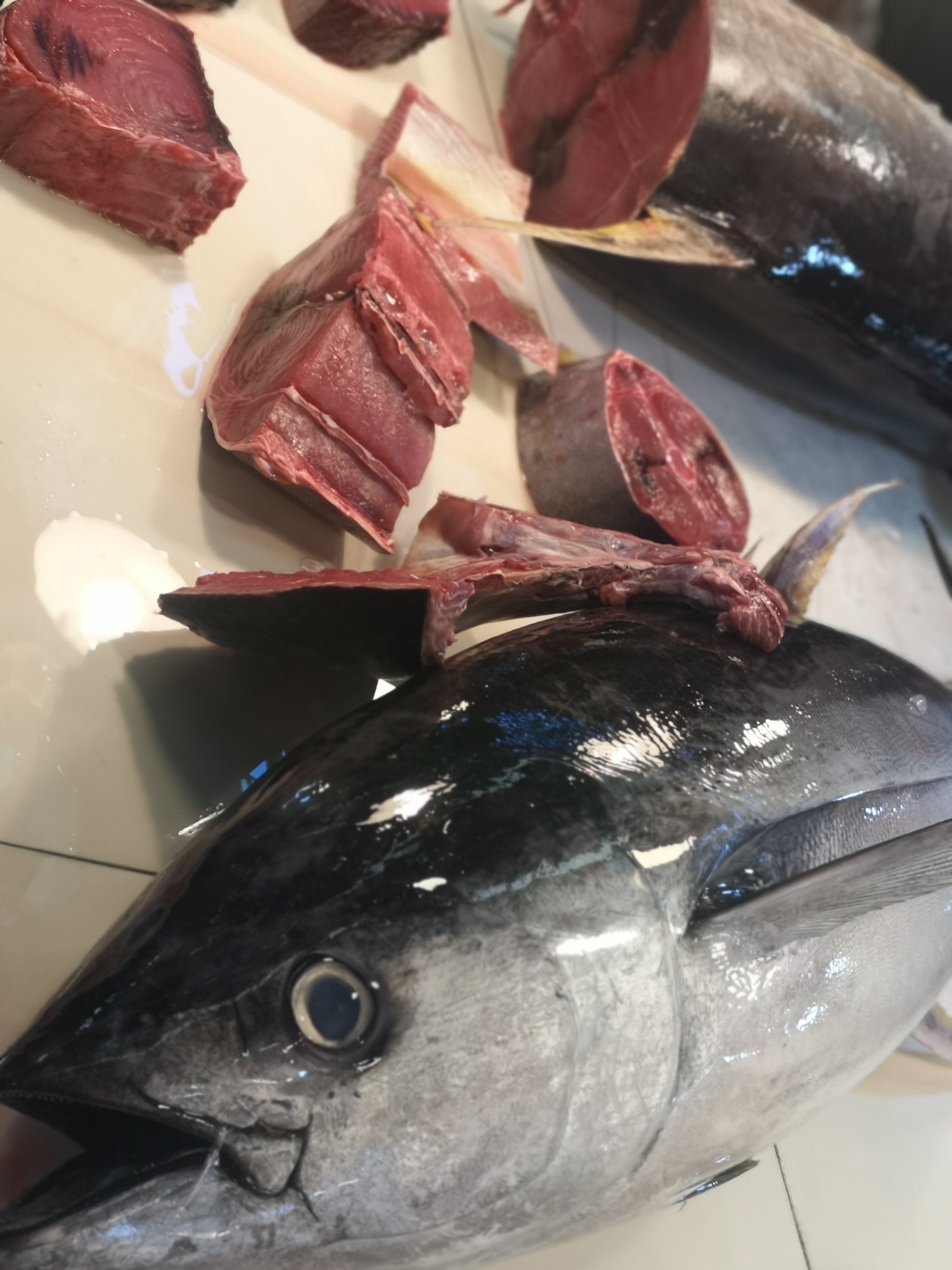 带你看菲律宾的海鲜市场,菲律宾海鲜市场最新行情