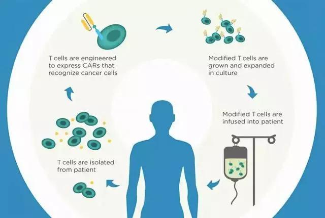 使用免疫治疗癌症常见的问题,免疫疗法治疗癌症的原理
