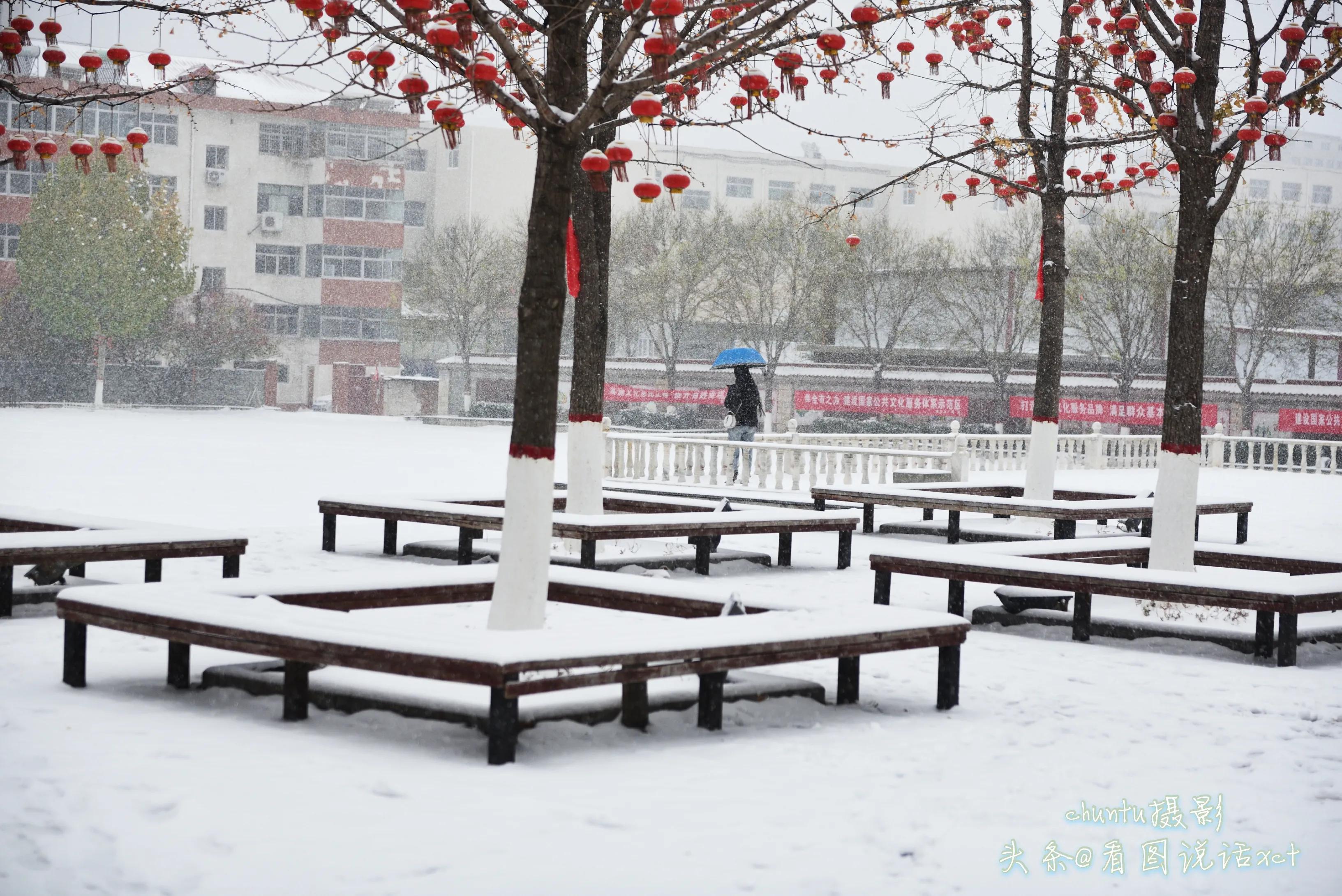 青龙下雪的情景,青龙县今天下雪了吗