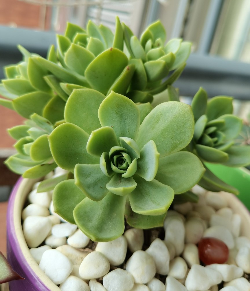 两个月过去了，十元以下的小东西都怎么样了？