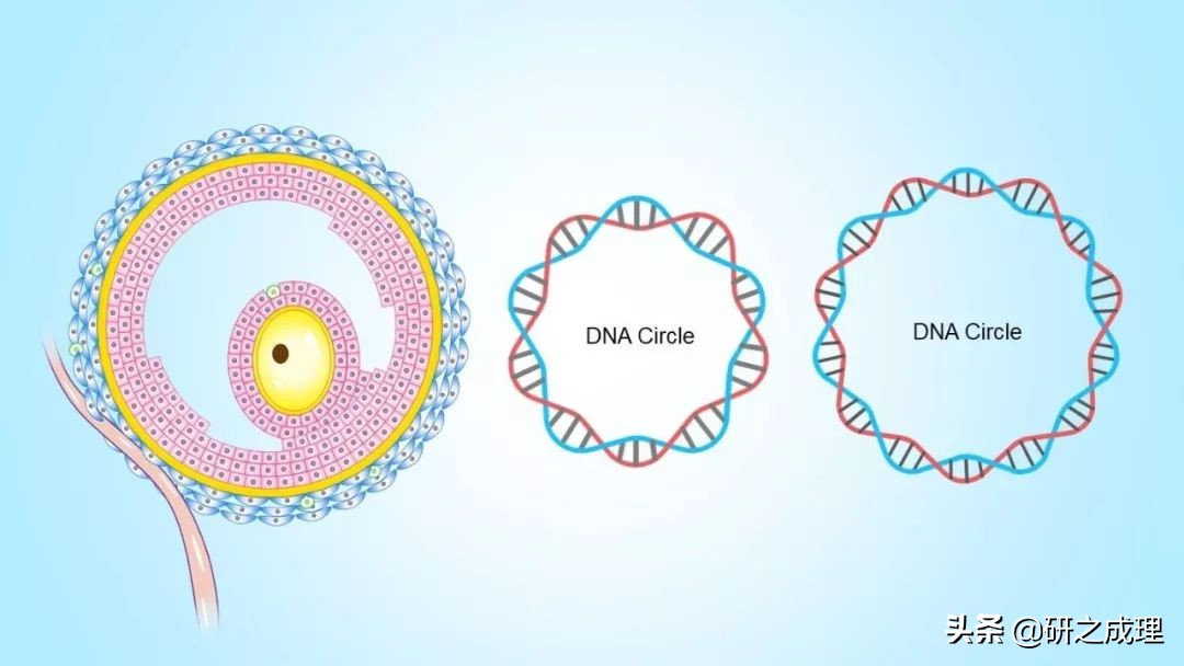 3d晶体科研绘图ppt,用ppt做3d科研图