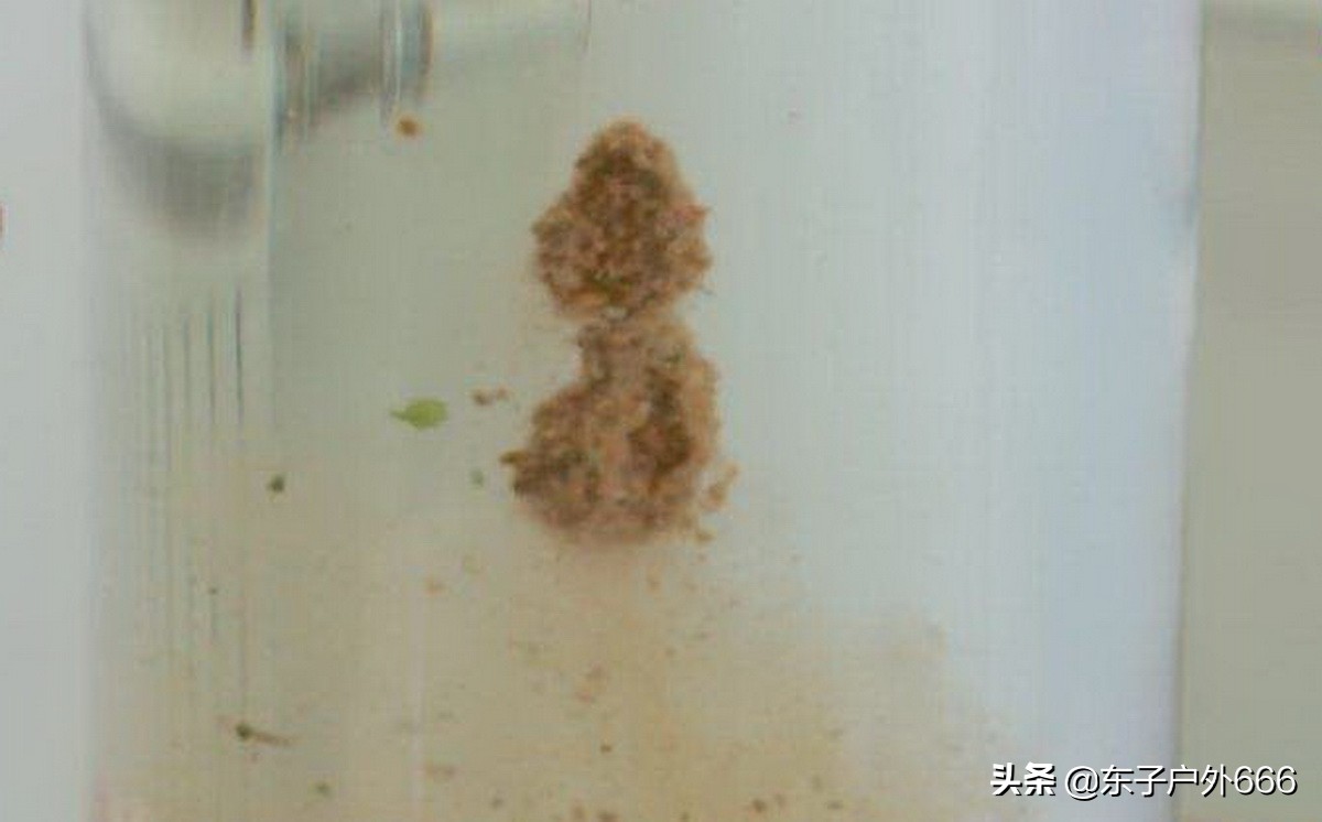 螺鲤不好用,螺鲤一号钓鲤鱼怎么正确使用