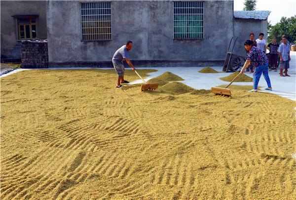 混凝土的房子太热怎么隔热,庭院混凝土地面太热怎么办