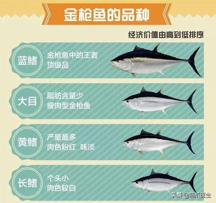 猫咪天天跑去喂鱼,猫咪不吃东西喝汤能喝饱吗