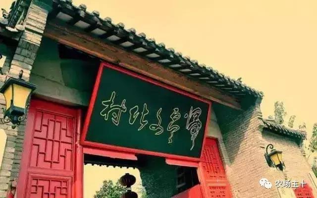 从零开始打造一个优质亲子农庄,从亏损近2亿到盈利35亿的逆袭