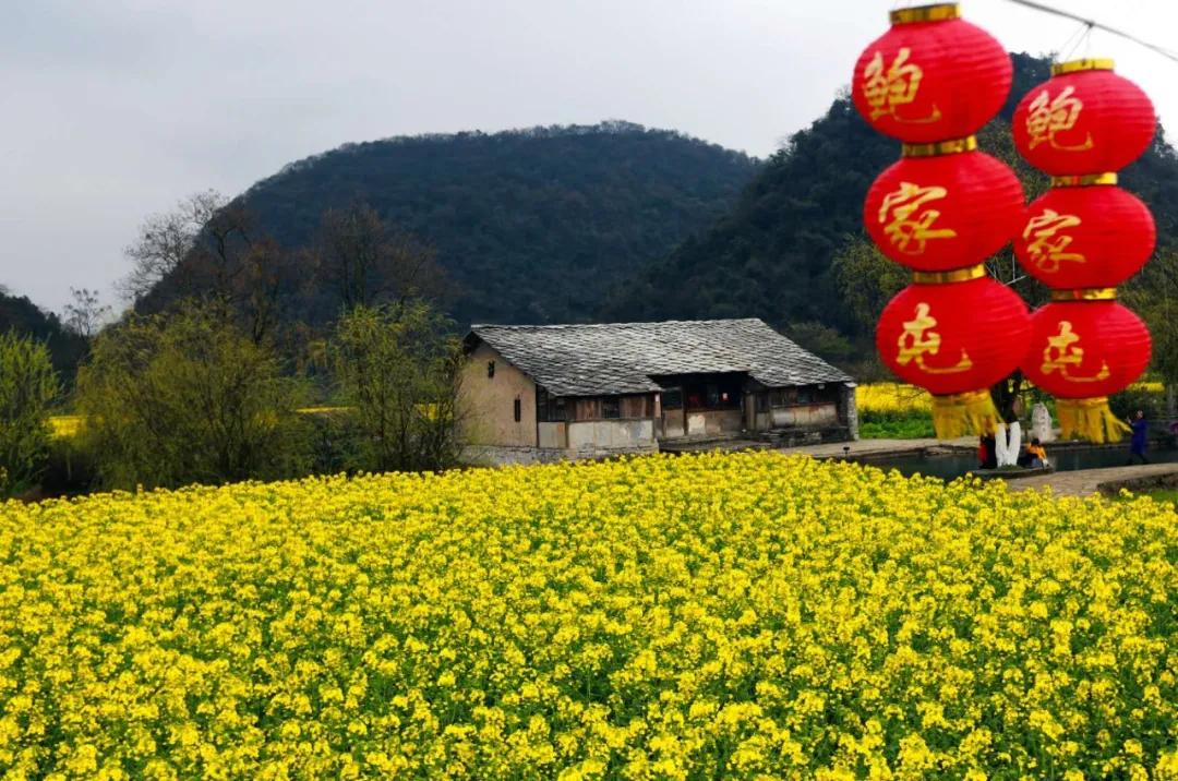 贵州的春天是最美的季节,贵州风景风情