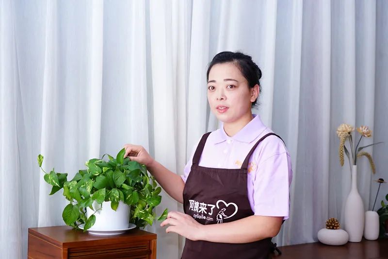 找住家阿姨只看孩子,找阿姨上门做饭