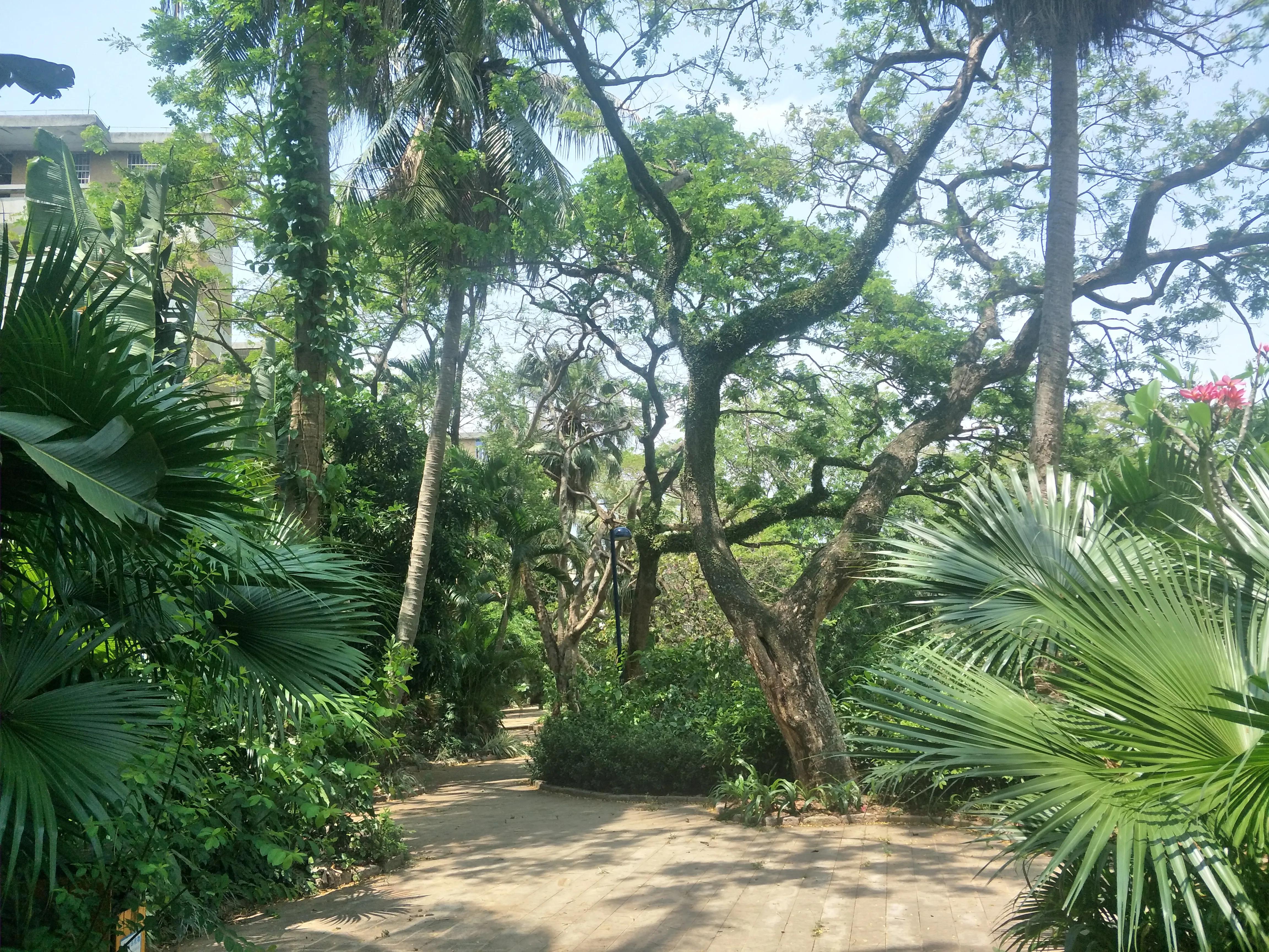 海口市湖中寺,海口闹市区中的湖中寺