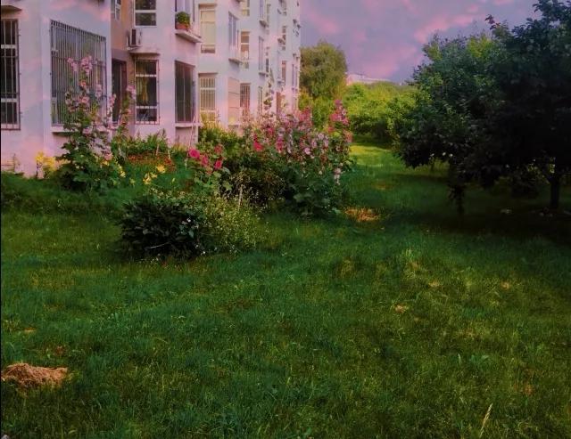 吉林省高校(二十一)长春中医药大学