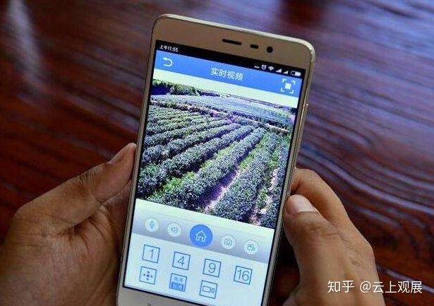 农产品销售该卖什么货源,农产品销售都能卖什么商品