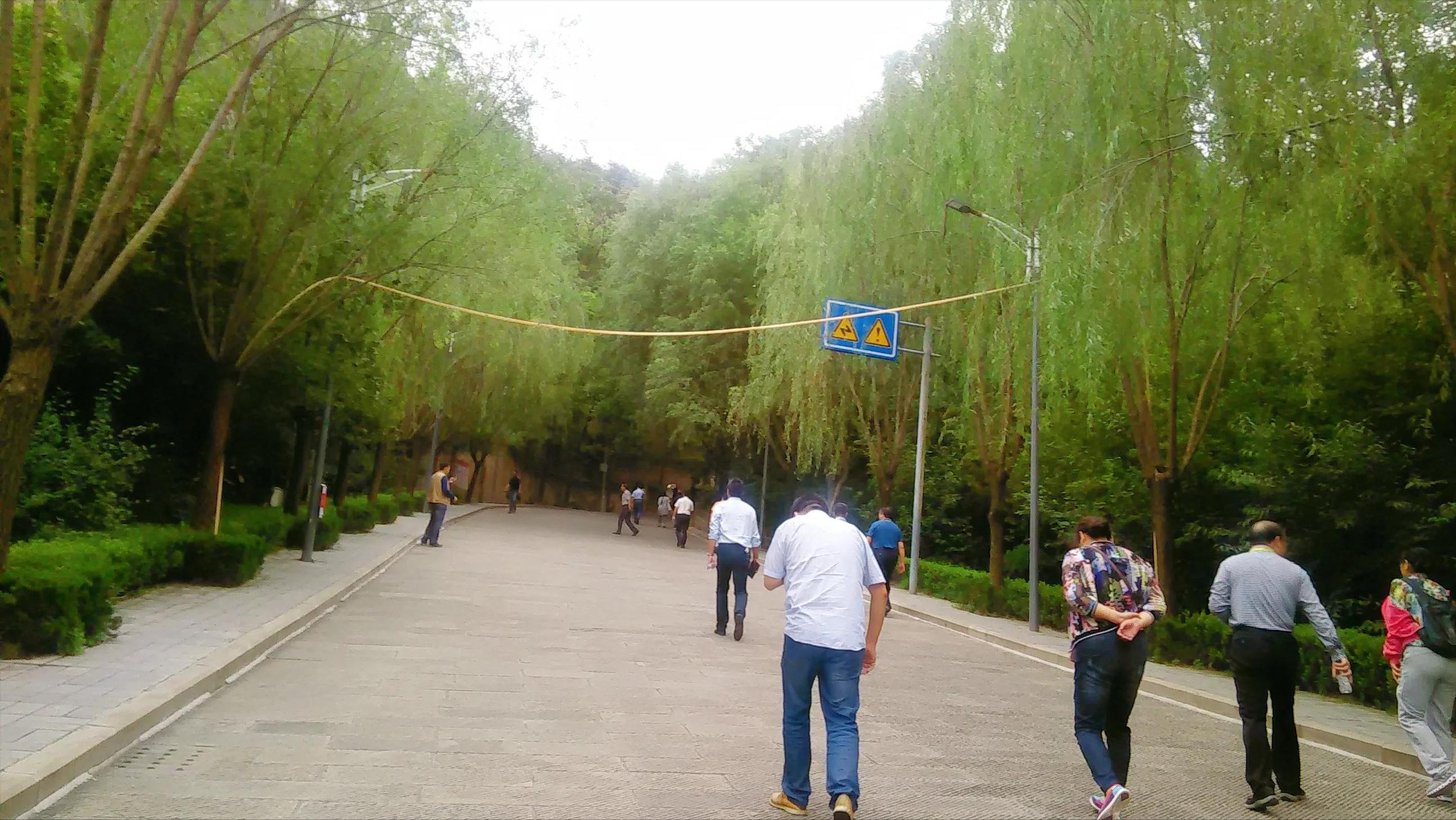 走进延安—登顶圣地宝塔山，感受安塞腰鼓山，游览佛道合一云台山