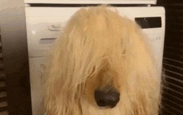 搞笑gif开心一刻我受了太多的委屈,踢足球腿抽筋搞笑gif