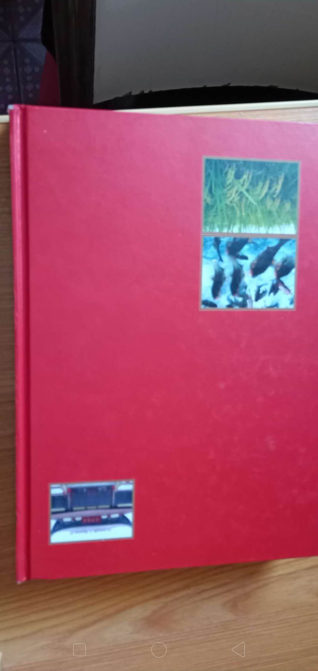 《下辛店镇志·文化》,学校体育·连载170