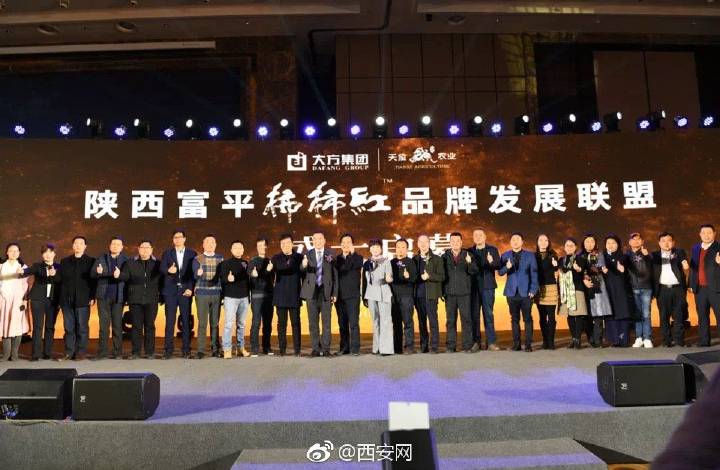 天玺柿子小镇富平柿饼,正宗陕西富平天玺柿饼