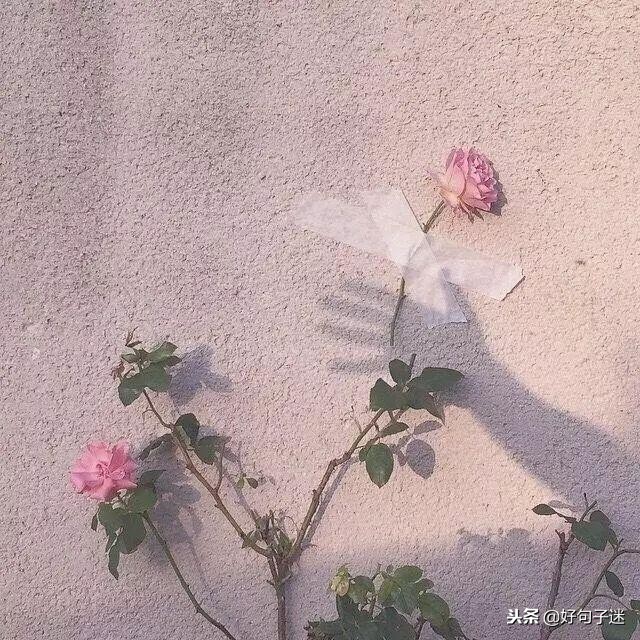 适合发说说的文艺短句,微信个性签名说说短句