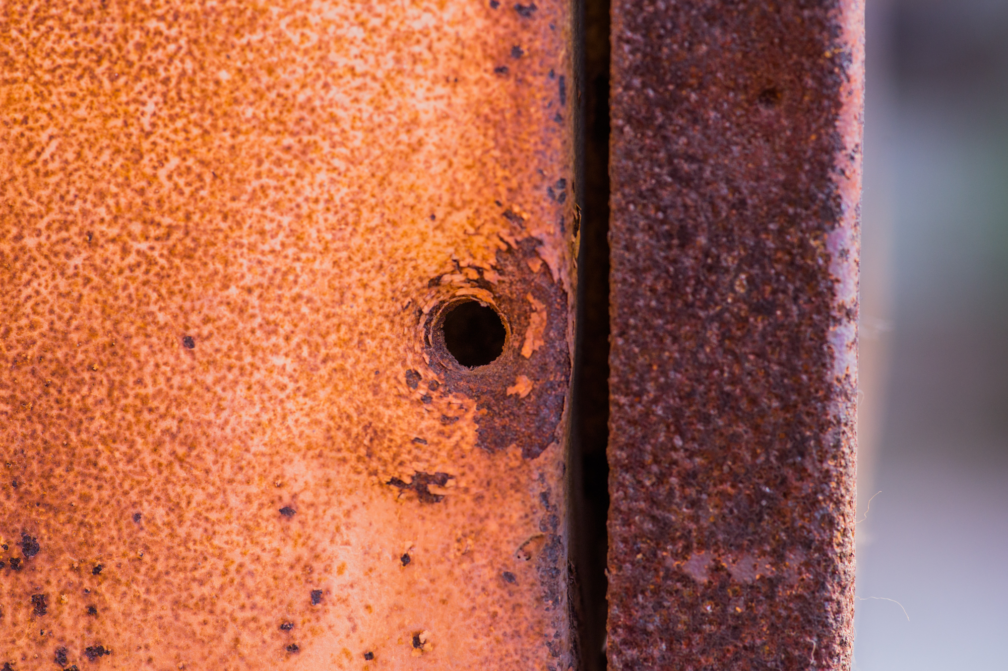 国产复合弓十大品牌,实战测试弓和弩