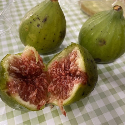 无花果使用什么农药防病虫害,无花果树叶病虫害识别与防治技术